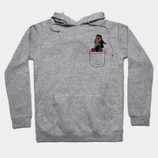 Llama Pocket Buddy Hoodie